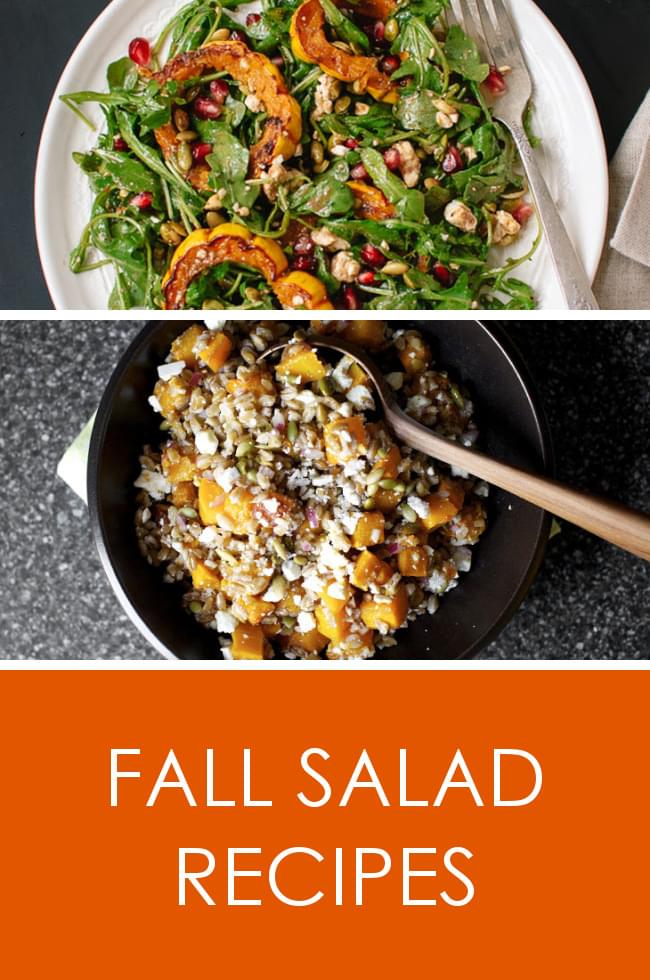 Delicious fall salad recipes