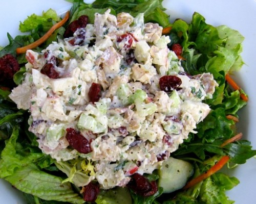 Chicken Salad Recipe With Cranberries