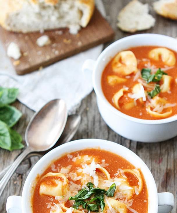 Creamy Tomato Tortellini Soup Recipe Bryont Blog