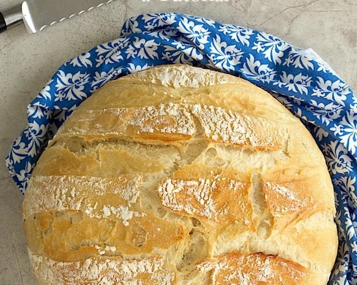 5 Minute Artisan Bread Tutorial
