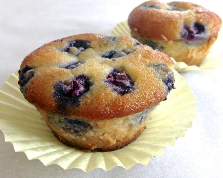 Paleo Blueberry Muffin (Low Carb, Gluten Free, Grain Free)