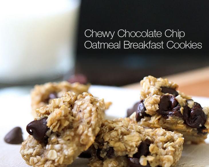 Chewy Chocolate Chip Oatmeal Breakfast Cookie