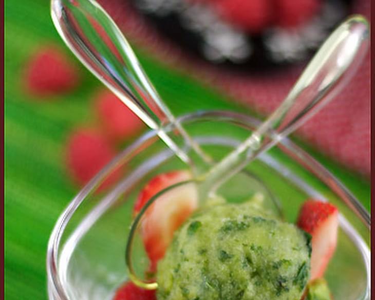 Basil Sorbet and Red Fruit