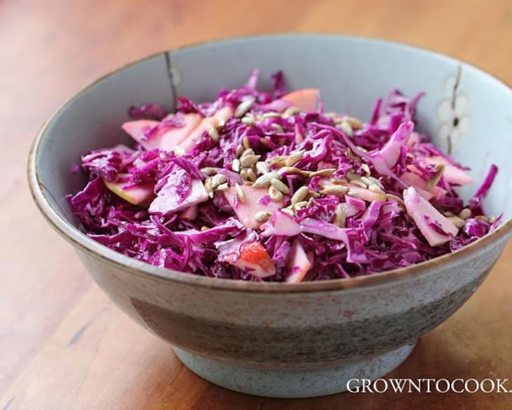 Red Cabbage Slaw With Ginger-yogurt Dressing