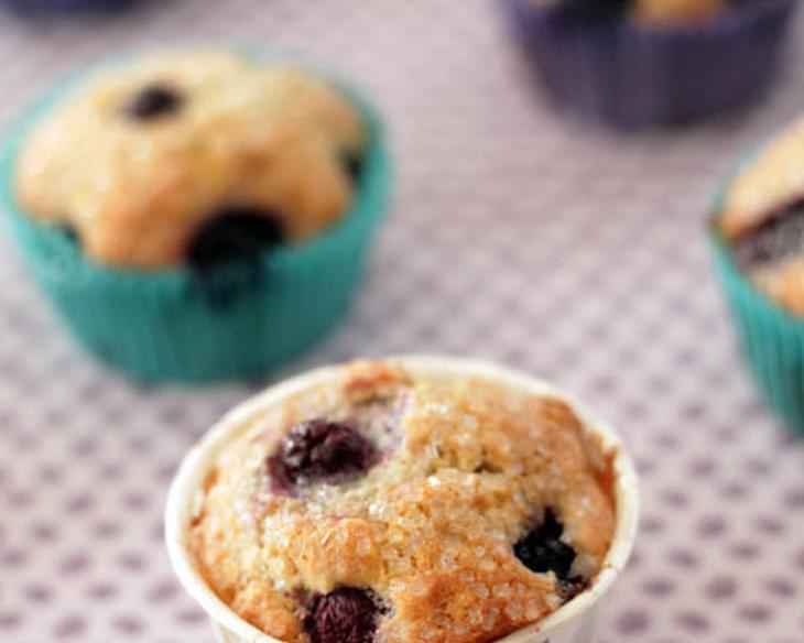 Sweet Blueberry Corn Muffins