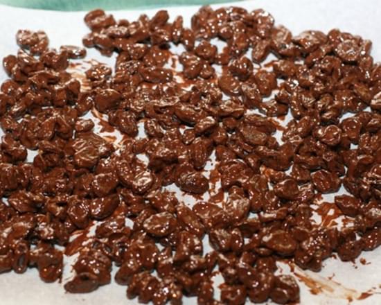 3 Ingredient Homemade Chocolate Covered Raisins