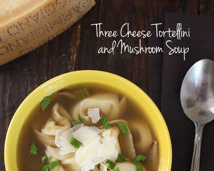 Three Cheese Mushroom and Tortellini Soup