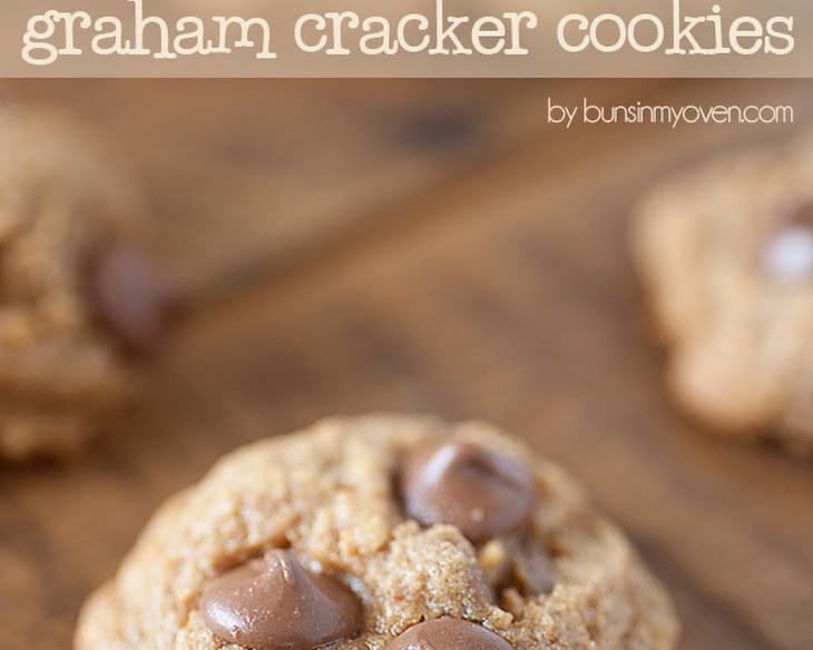 Chocolate Chip Graham Cracker Cookies