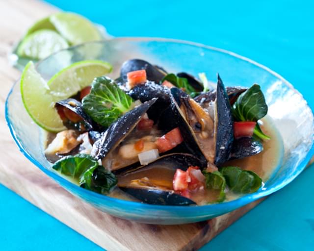 Spicy Steamed Mussels in Miso Broth