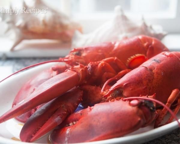 How to Boil and Eat Lobster