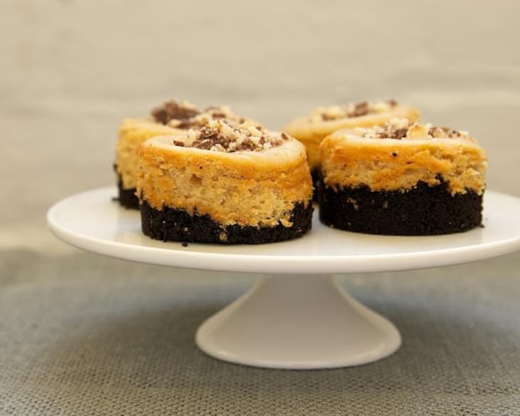 Peanut Butter Mini Cheesecakes with Chocolate Cookie Crust