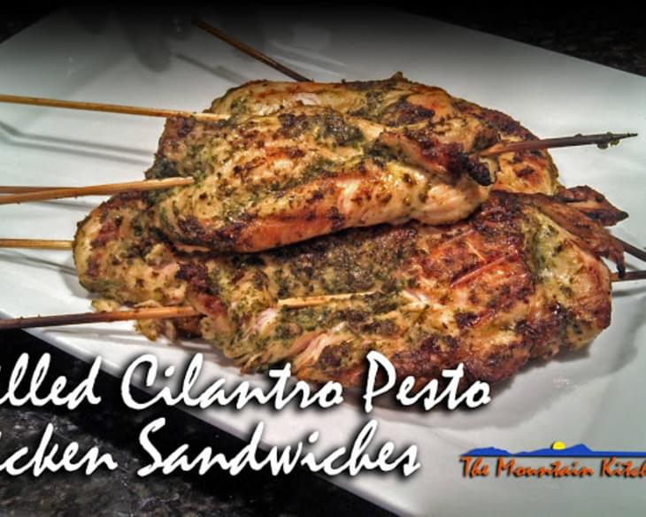 Grilled Cilantro Pesto Chicken Sandwiches
