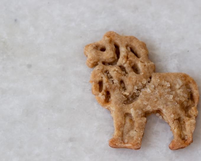 Animal Cracker Cookie