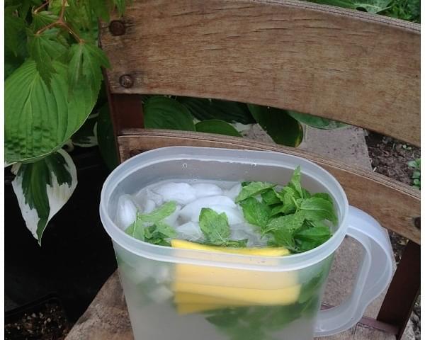 Pineapple and Mint Infused Water Recipe Infused Water - Spa Water - Flavored Water