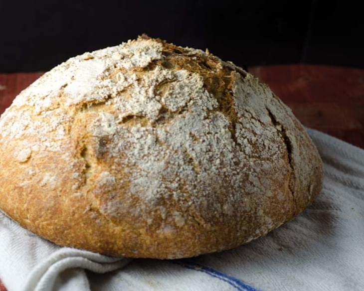 Whole Grain, No-Knead Sourdough Bread