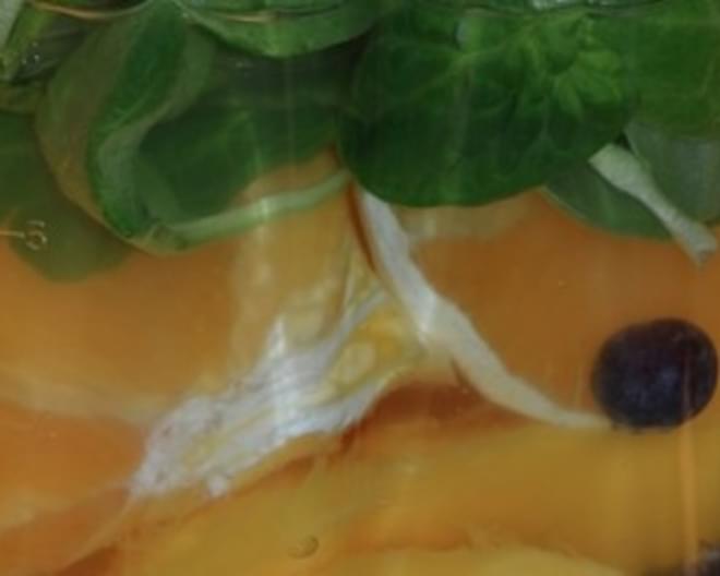Blueberry Mango Orange Smoothie
