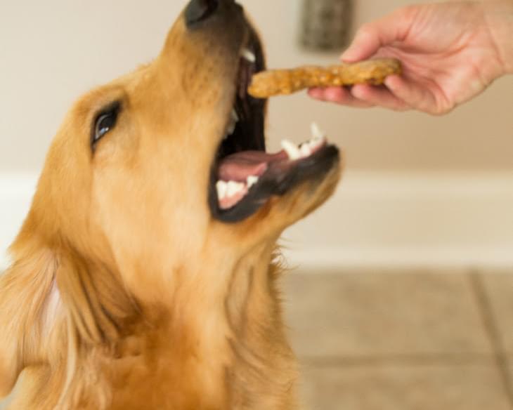 Homemade Peanut Butter-Bacon Dog Treats