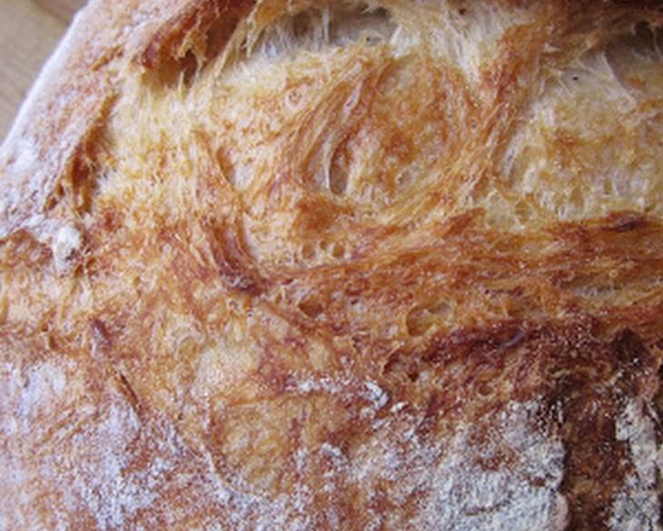 Dutch Oven Artisan Bread