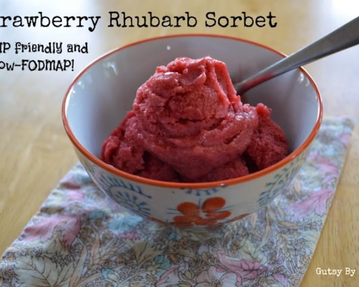 Guest Post by Jamie Hartman - Strawberry Rhubarb Sorbet (Autoimmune Protocol Friendly)