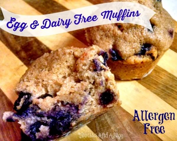 Dairy Free & Egg Free Blueberry Muffins -Allergy Friendly