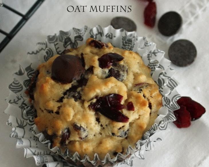 Chocolate Chip Cranberry Oat Muffins
