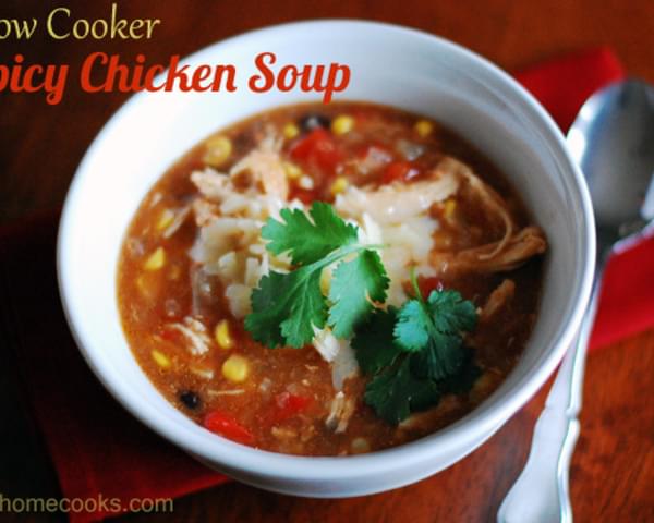 Slow Cooker Spicy Chicken Soup - with variations to fit your pantry