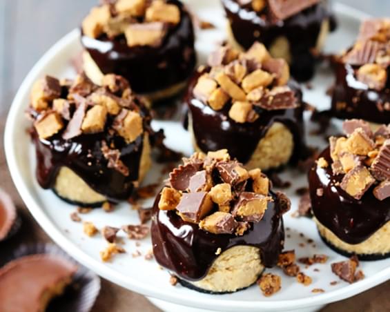 Reese's Peanut Butter Chocolate Mini Cheesecakes