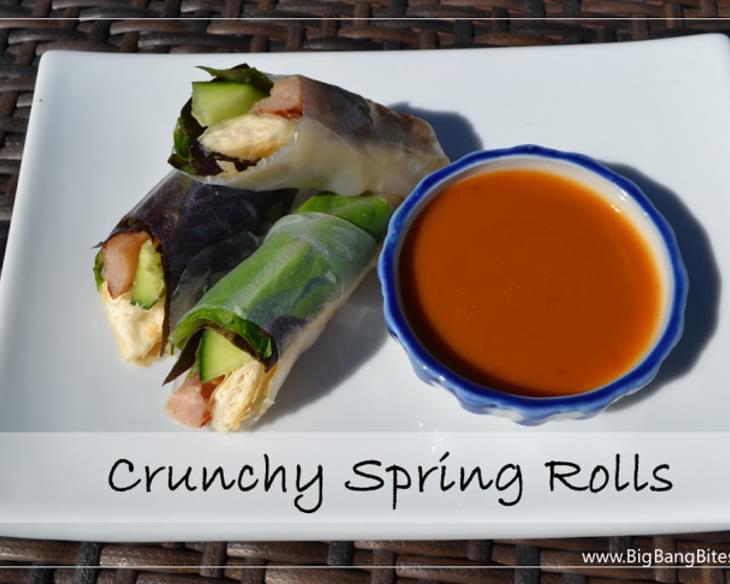Crunchy Spring Rolls