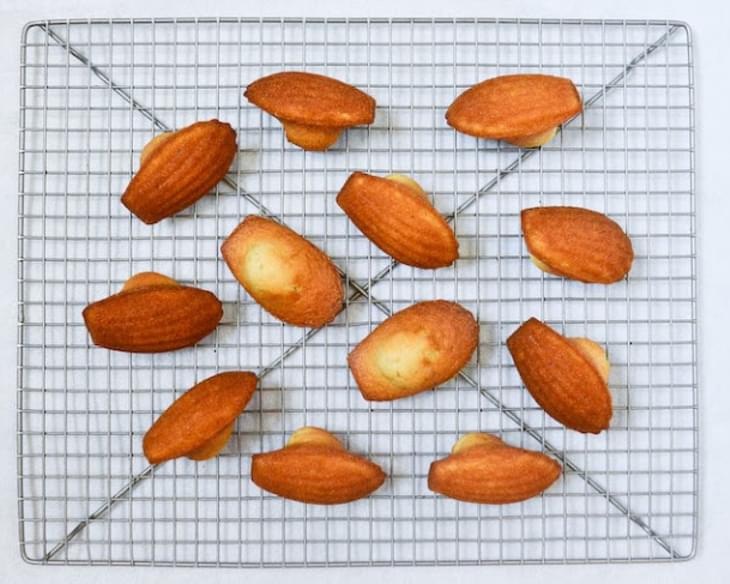 Perfect Madeleines