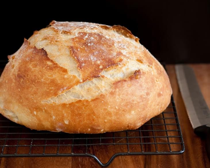 Crusty Rustic Bread (it's no knead!)