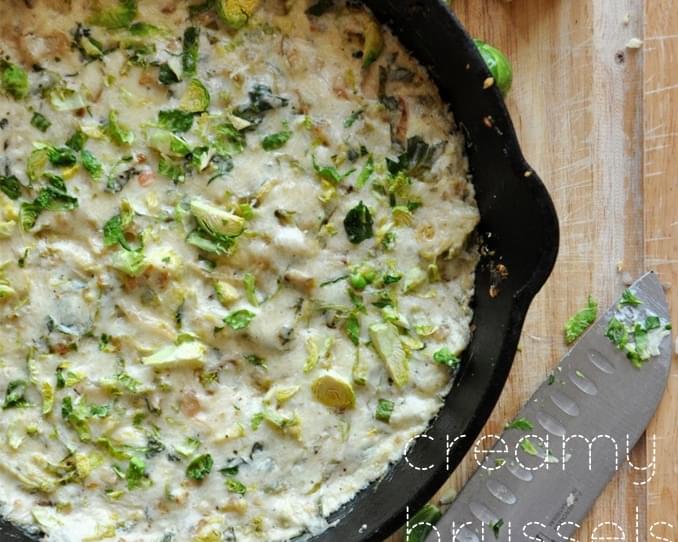 Creamy Brussels Sprout & Shallot Dip