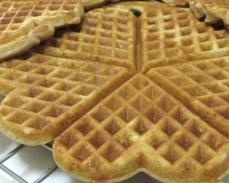Low Carb Cinnamon Buttermilk Soy Waffles (for Atkins Diet Phase 1)