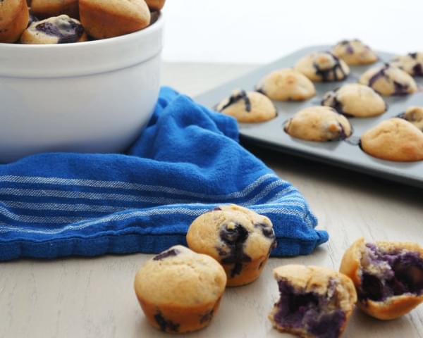 Mini Protein Blueberry Muffins