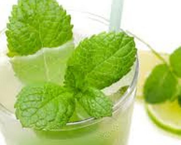 Ultimate Mojito Drink Recipe - How To