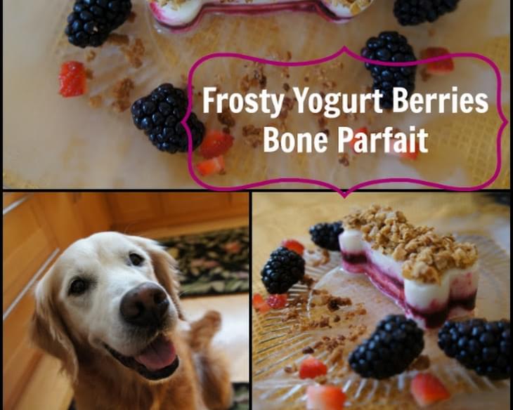 Frosty Yogurt Berries Bone Parfait