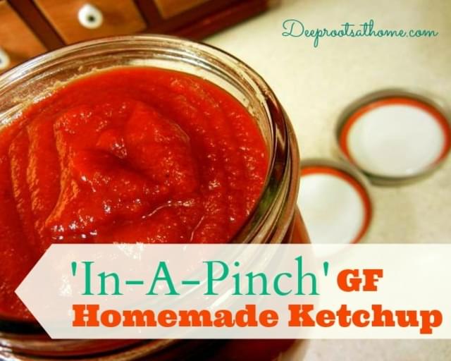 In-A-Pinch GF Homemade Ketchup