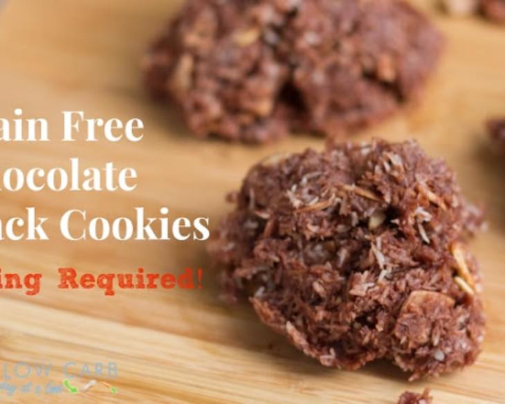No Bake Grain Free Chocolate Haystack Cookies
