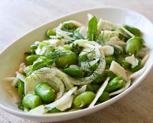 Spring Fava Bean Fennel Salad