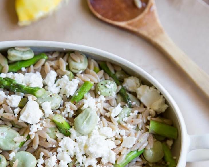 Fava Bean and Aspragus Orzo Pasta Salad