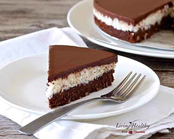 Coconut Chocolate Cake - paleo, grain-free, gluten-free, dairy-free, soy-free, refined sugar-free