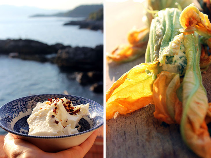 Goats Cheese Courgette Flowers with Honey and Hazelnuts Recipe