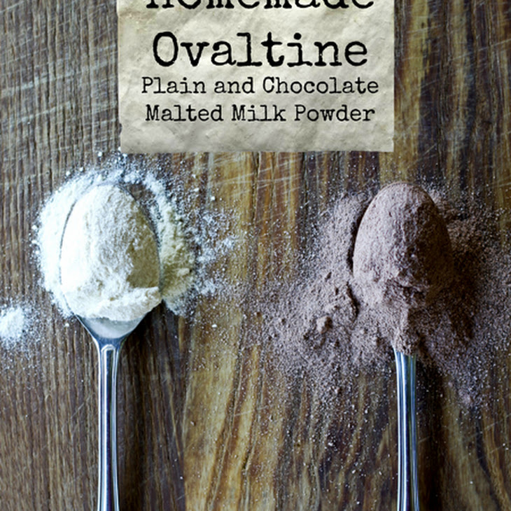 Homemade Ovaltine Malted Milk Powder (Chocolate and Plain) Recipe