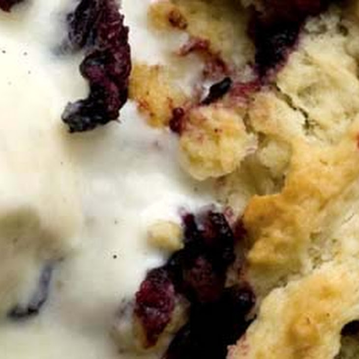 Dewberry Cobbler Recipe 1072