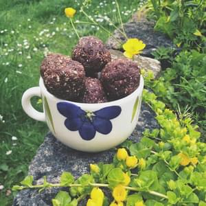 Cacao, Fig and Walnut Balls