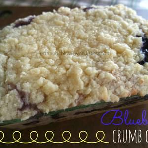 Blueberry Crumb Cake (vegan Friendly)