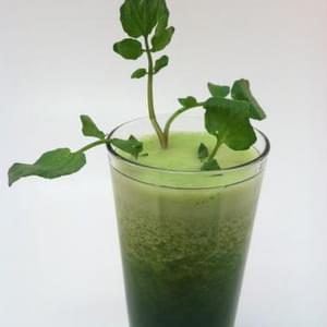 Green Tea Weight Loss Smoothie