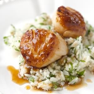 Scallop with Apricot Sauce