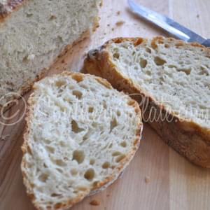 Easy Dutch Oven Crusty Bread