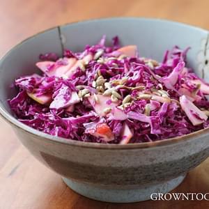 Red Cabbage Slaw With Ginger-yogurt Dressing