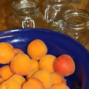 Quick Apricot Jam
